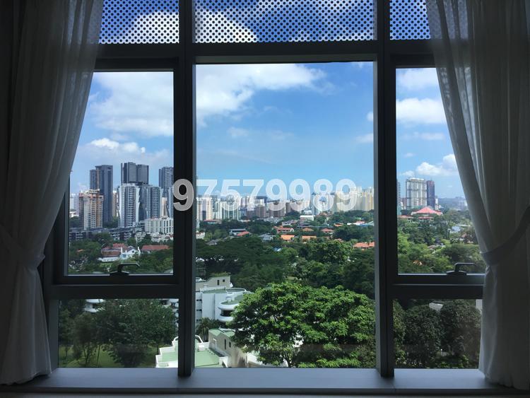 Gramercy Park (D10), Condominium #155424962